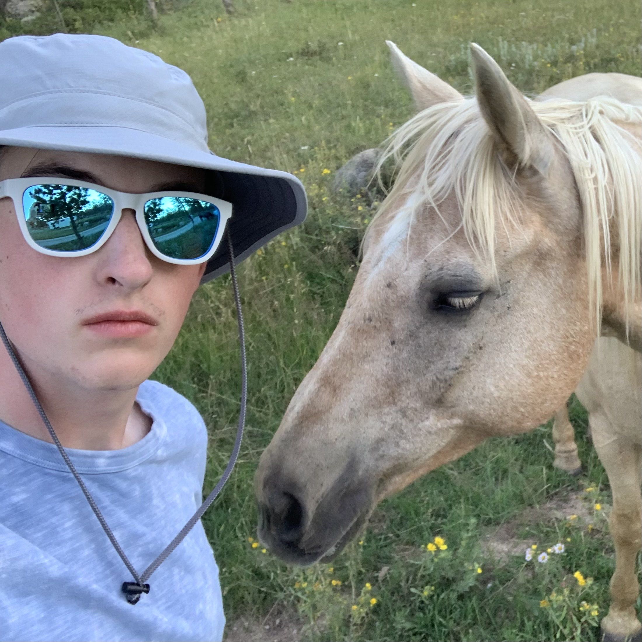 Horse